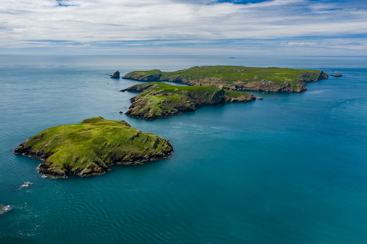 Skomer Island
