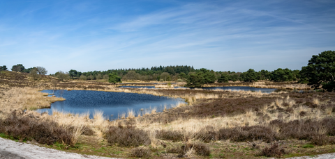 Louisenburg, Venlo and Lommerheide Loop