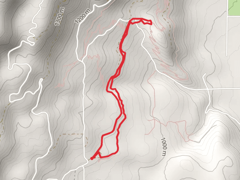 Owsley Canyon Road Loop