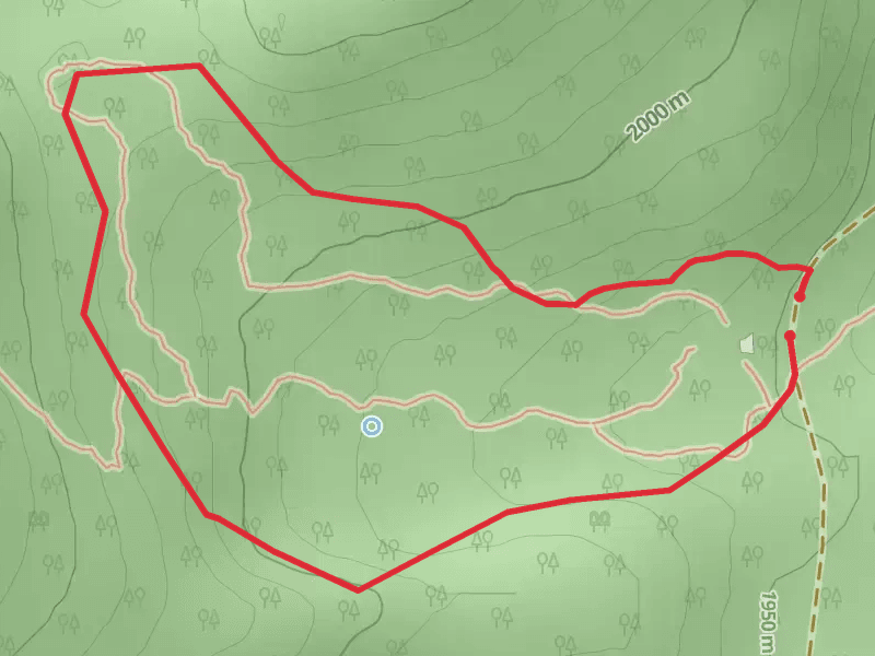 Antler Loop Trail