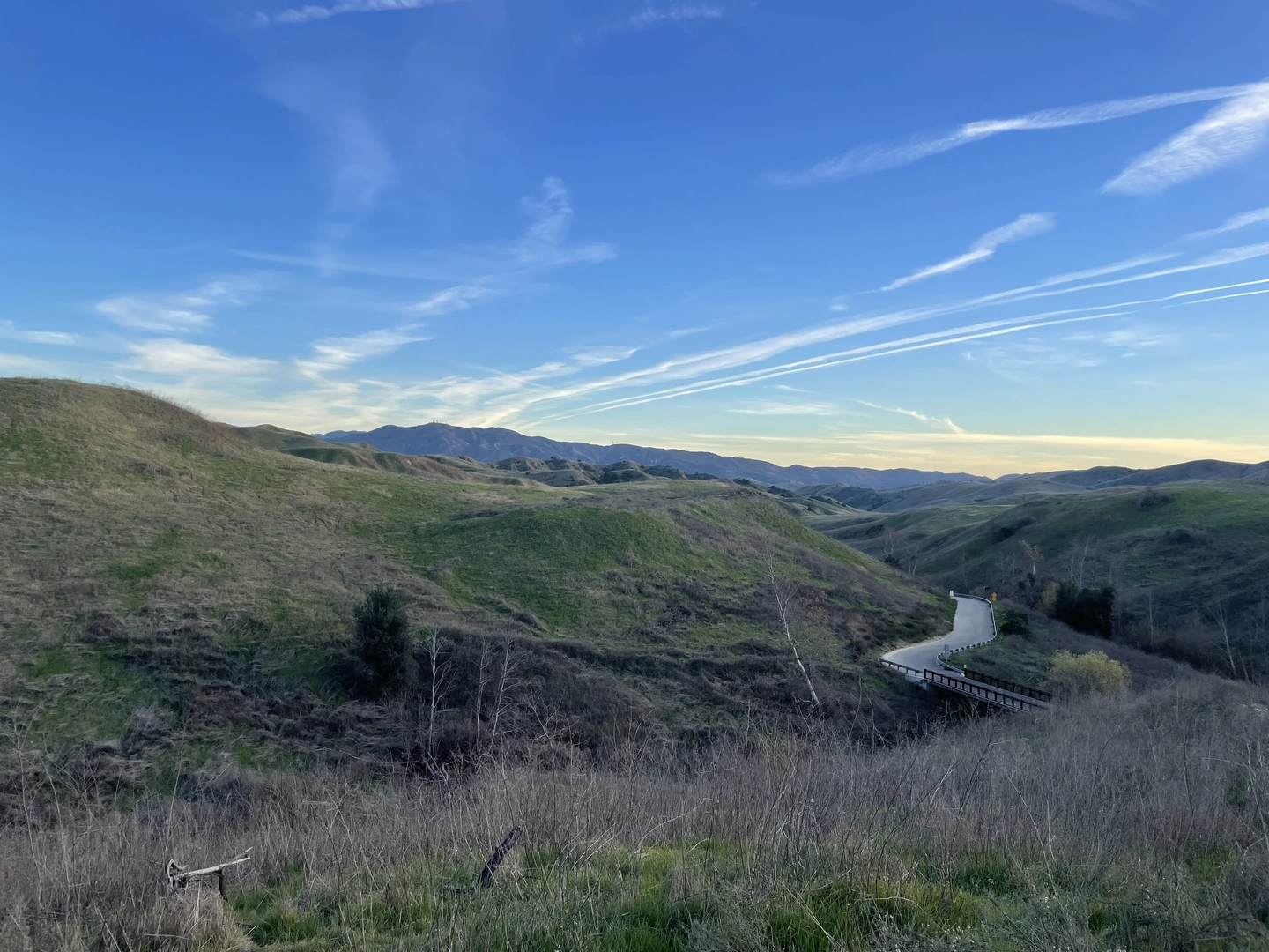 An image depicting the trail Bane Ridge Loop Trail and its surrounding area.