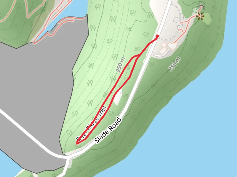 Slade Road Loop