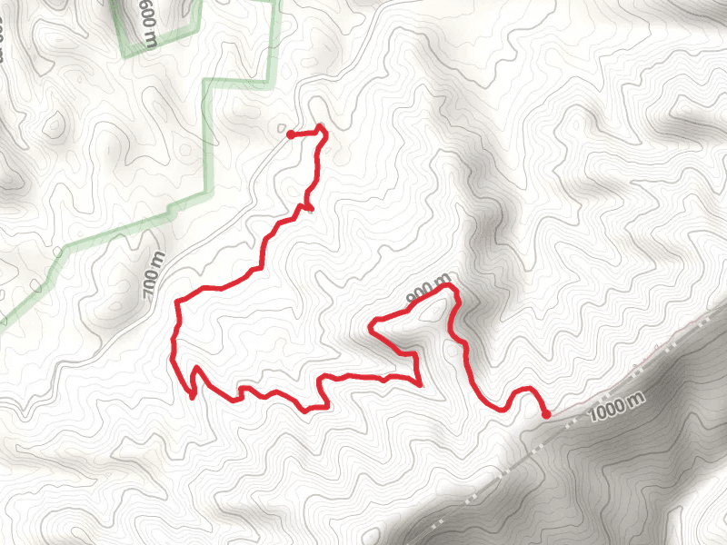 Old Dug Trail
