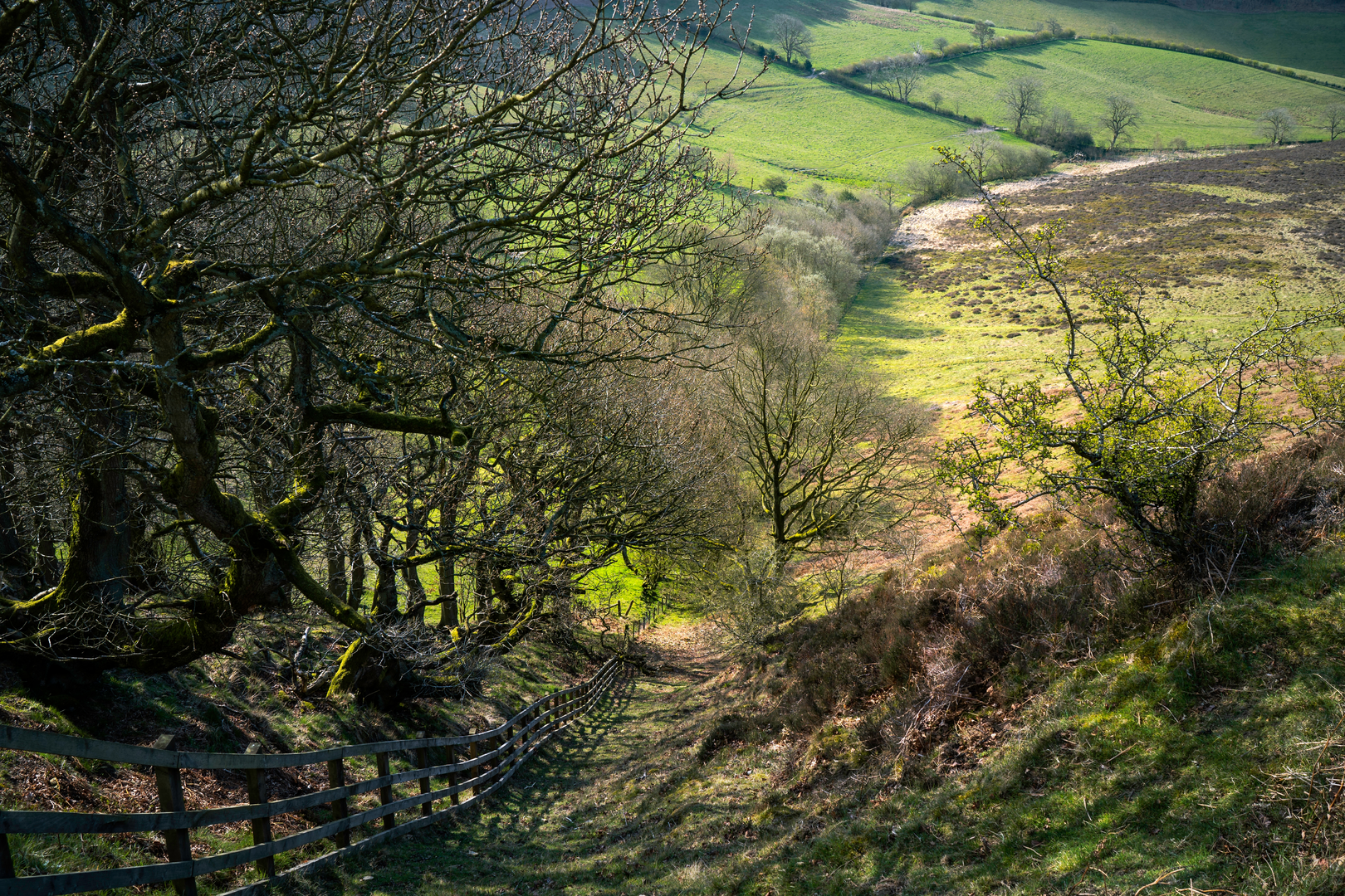 An image depicting the trail Hole of Horcum from Levisham Station and its surrounding area.