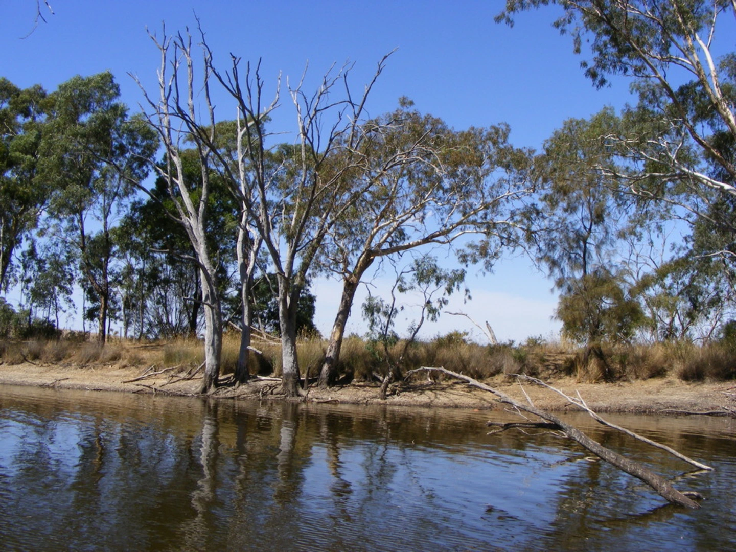 An image depicting the trail Southern Park - Central Trail and its surrounding area.
