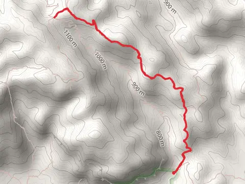 Freemont Saddle via Cave Trail