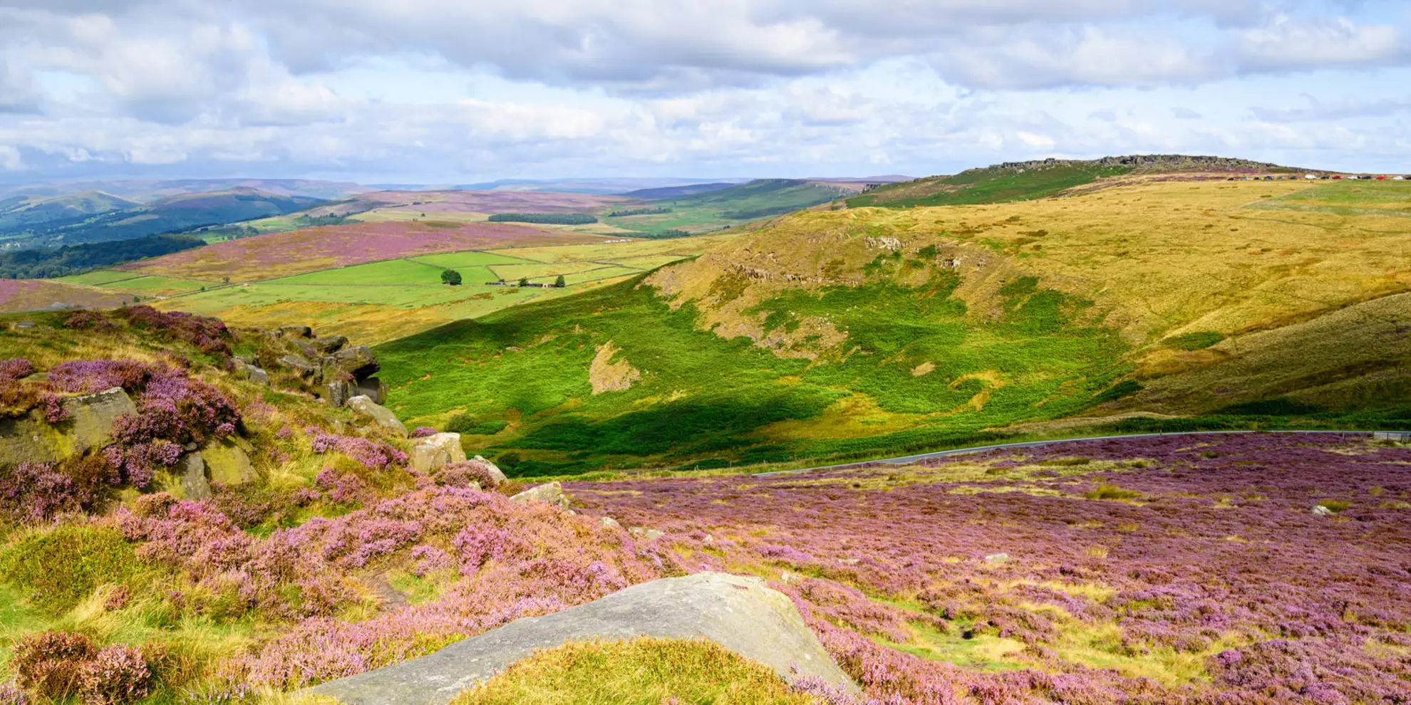 An image depicting the trail Crooked Spire Walk and its surrounding area.