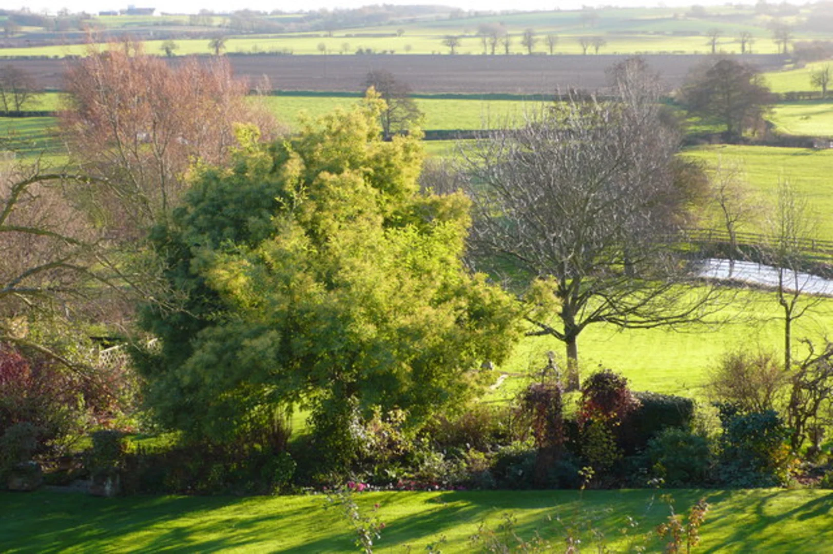 An image depicting the trail Wormingford Park Loop and its surrounding area.