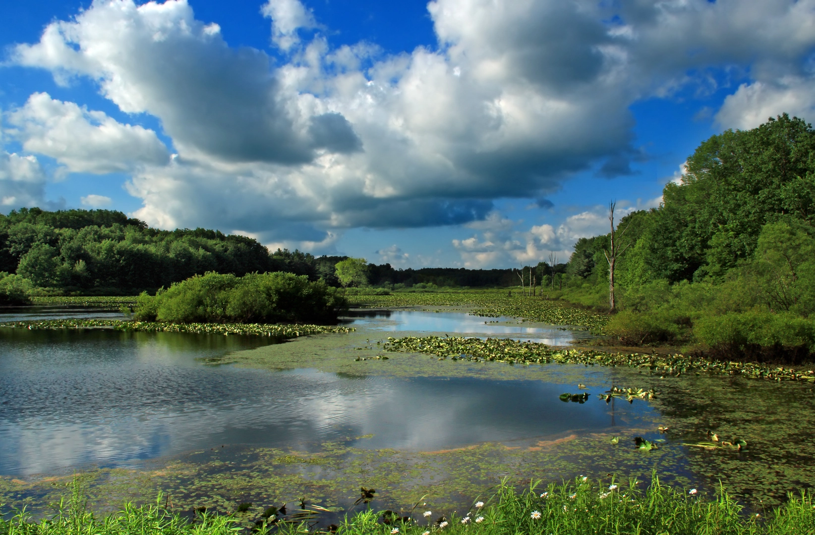 An image depicting the trail Deer Run Loop in Erie National Wildlife Refuge and its surrounding area.