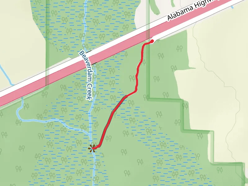 Beaverdam Creek via Beaverdam Boardwalk