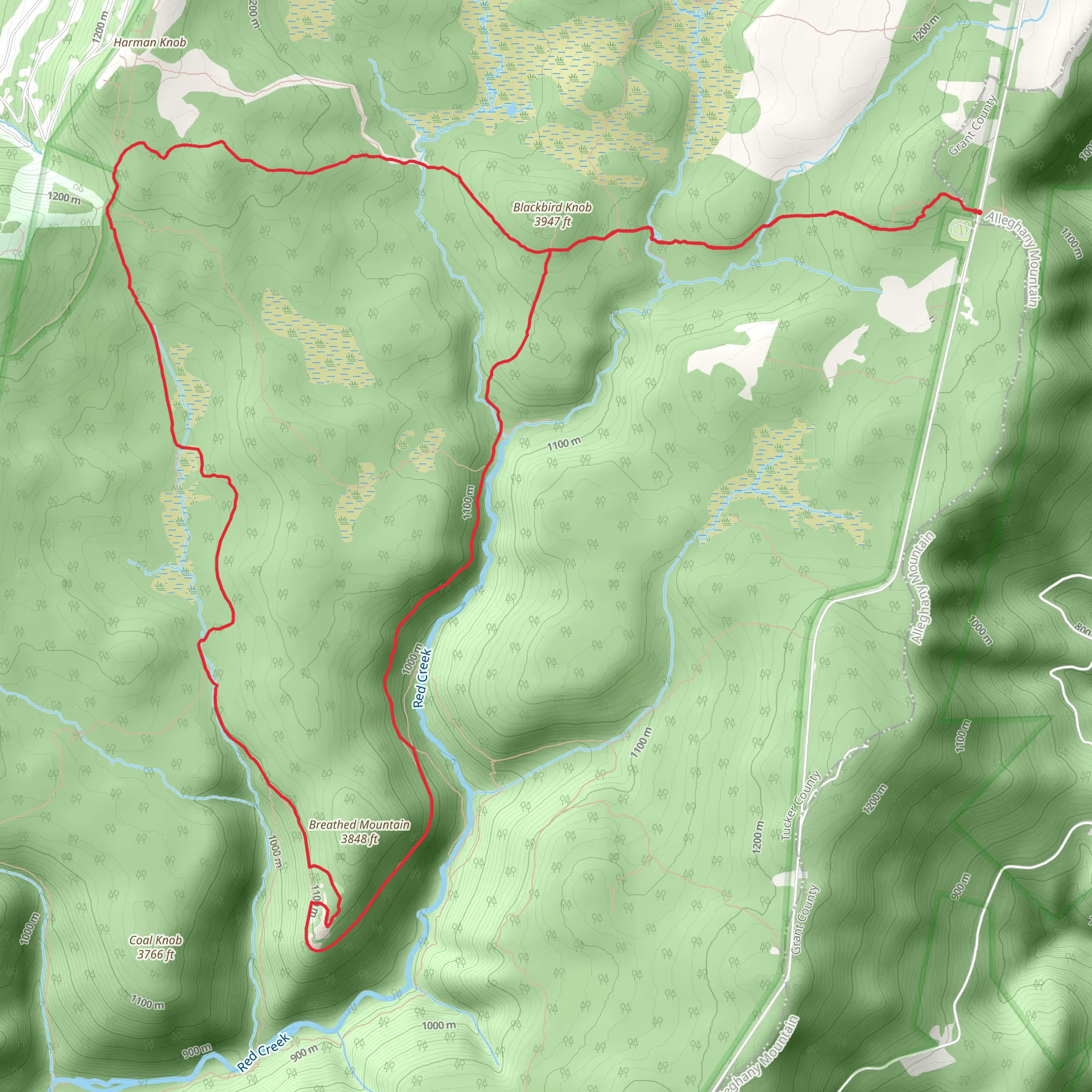 Blackbird Knob, Big Stonecoal and Rocky Point Loop Trail mobile static map