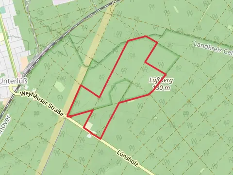 Suedheide Der Urwald im Luess W8K