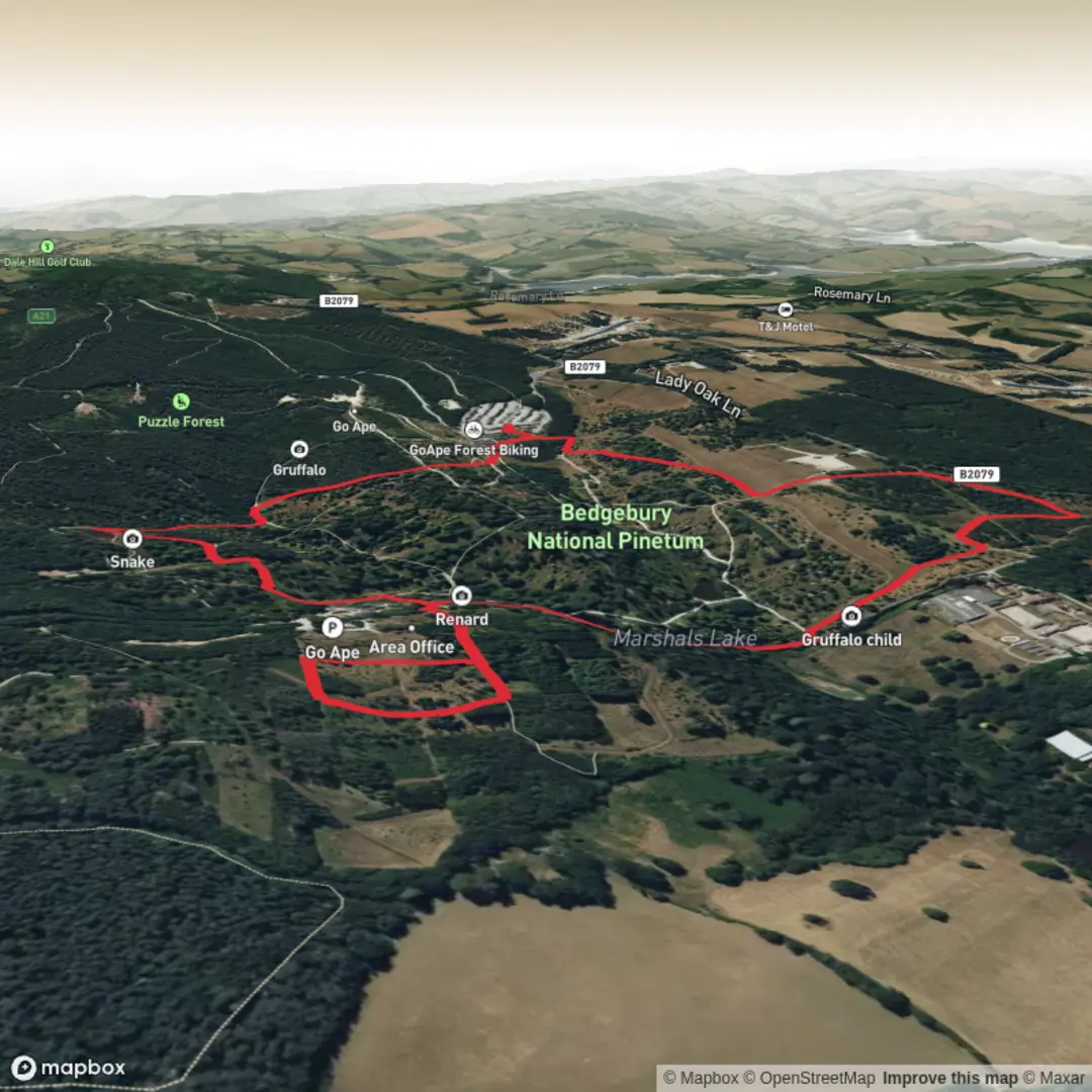 An image depicting the trail Bedgebury National Pinetum Loop via Marshals Lake and its surrounding area.