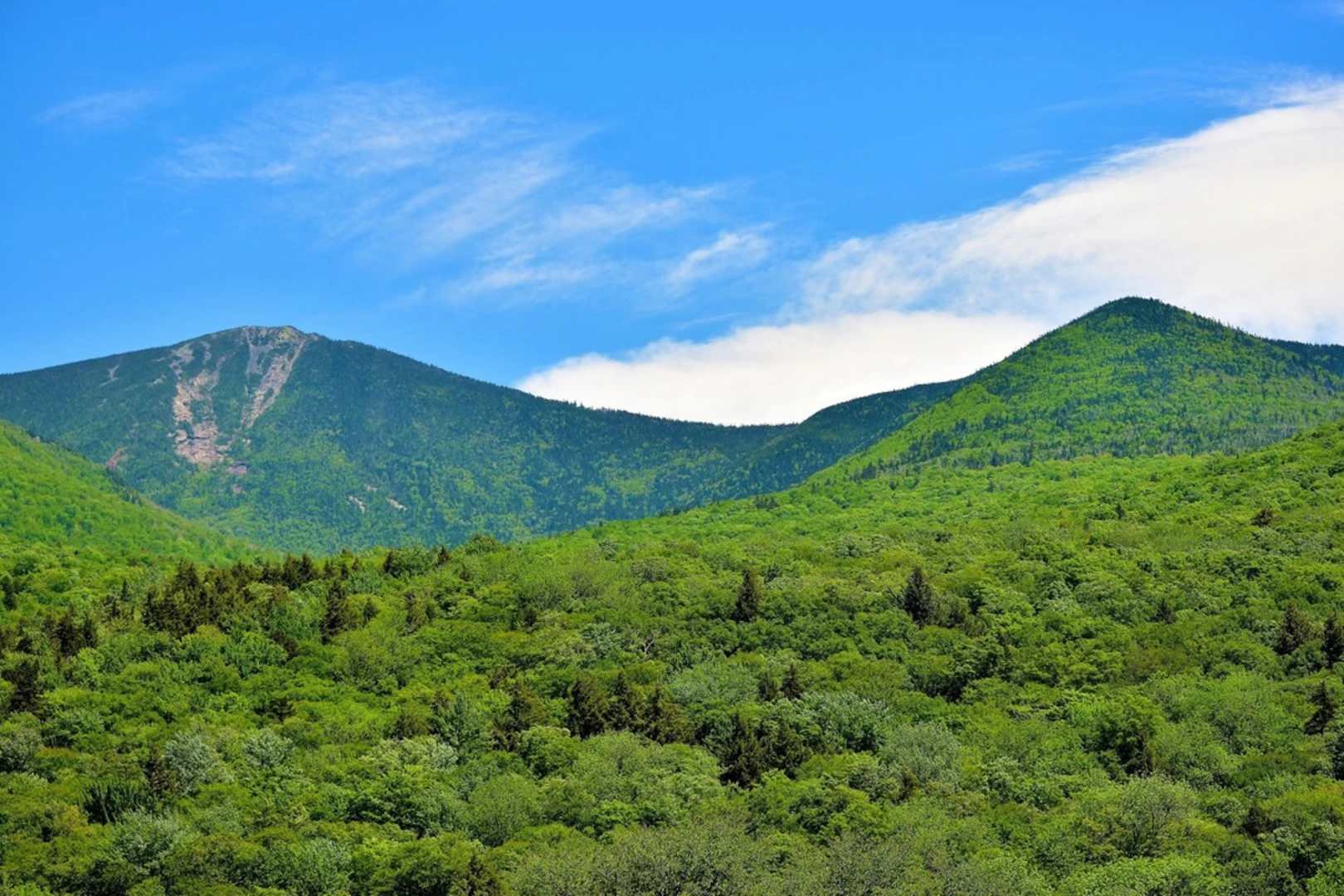 An image depicting the trail Mount Flume and Liberty via Flume Slide Trail and its surrounding area.