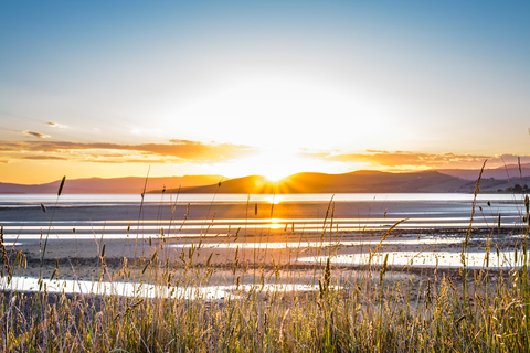 Blessington Track and Cape Deliverance Trail
