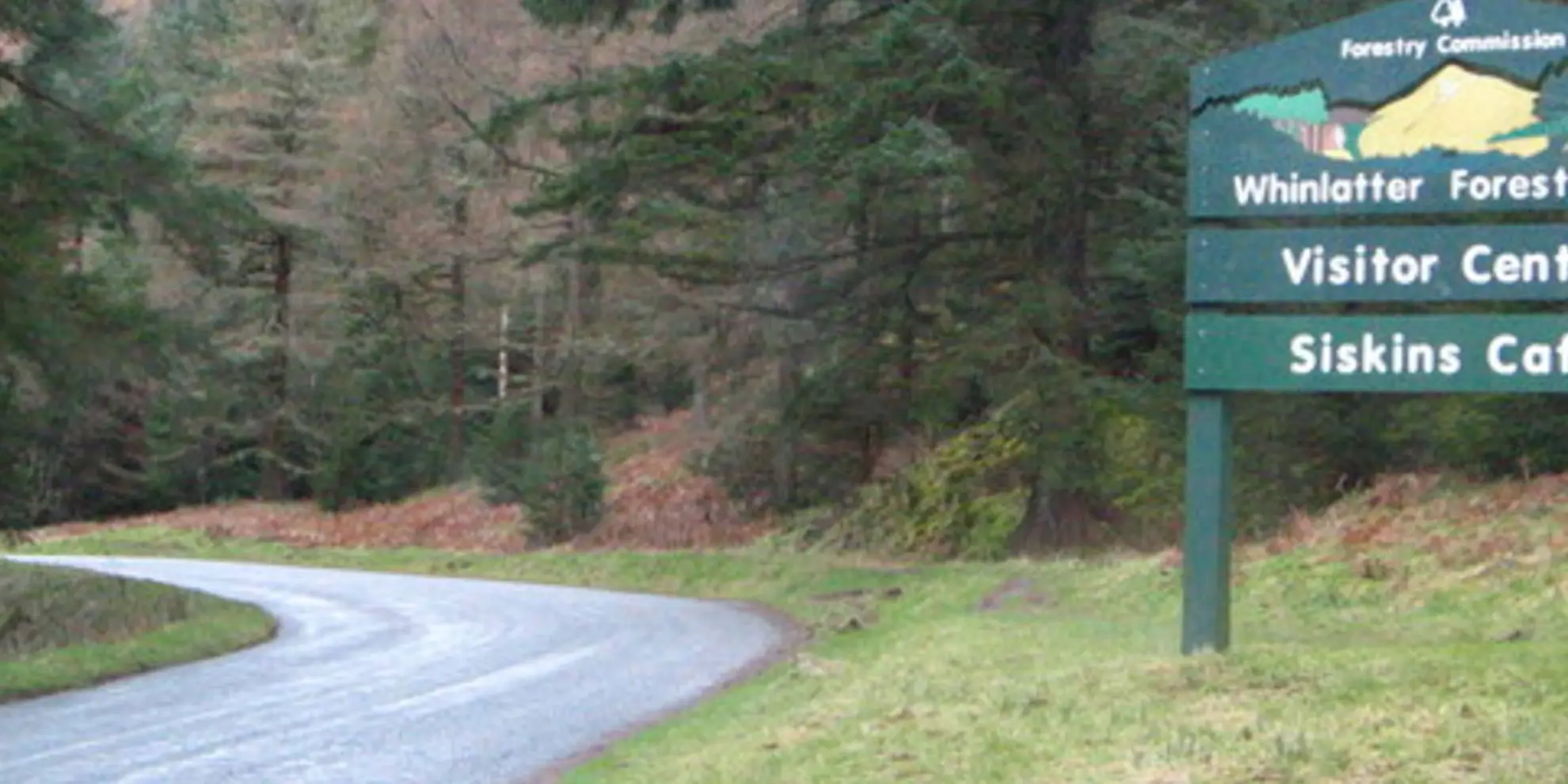 An image depicting the trail Two Gills Trail and its surrounding area.