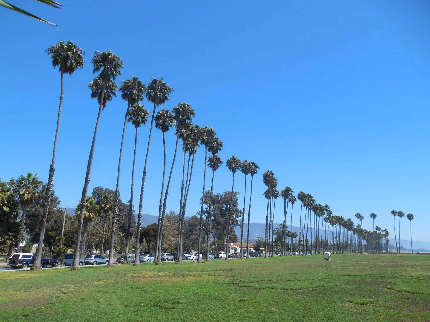 An image depicting the trail Chase Palm Park Loop and its surrounding area.