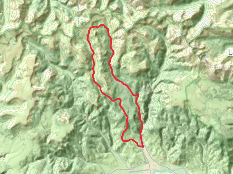 CReede North Loop