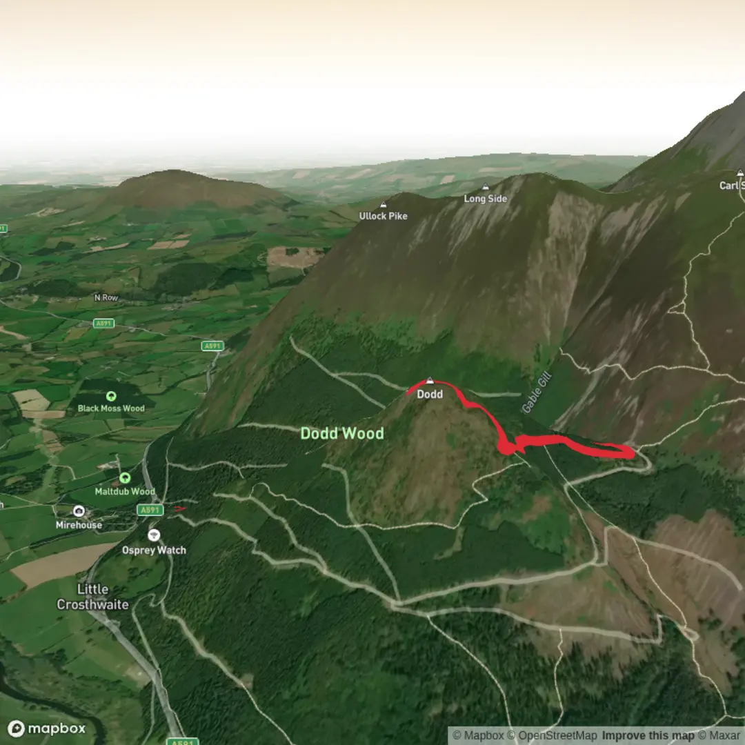 An image depicting the trail Dodd Out and Back and its surrounding area.