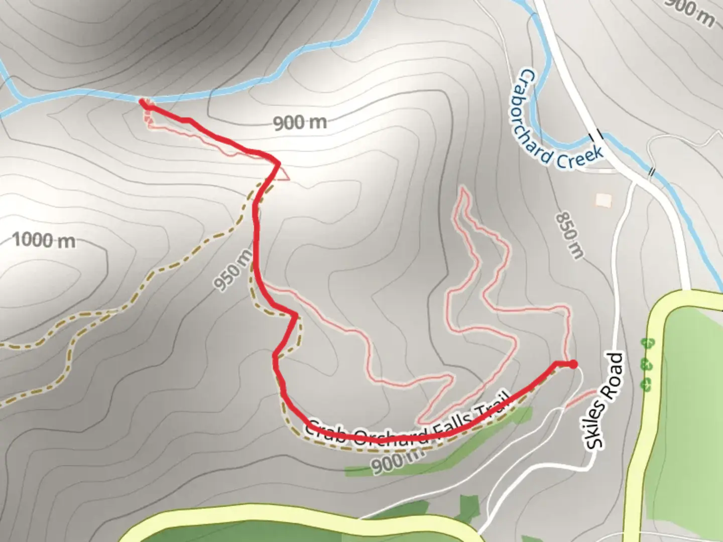 An image depicting the trail Crab Orchard Falls Trail and its surrounding area.