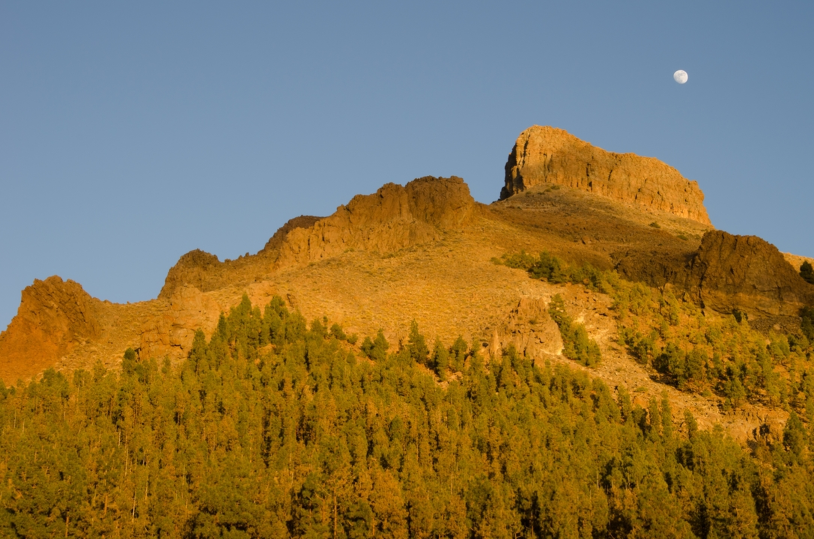 An image depicting the trail Sombrero de Chasna Trail and its surrounding area.