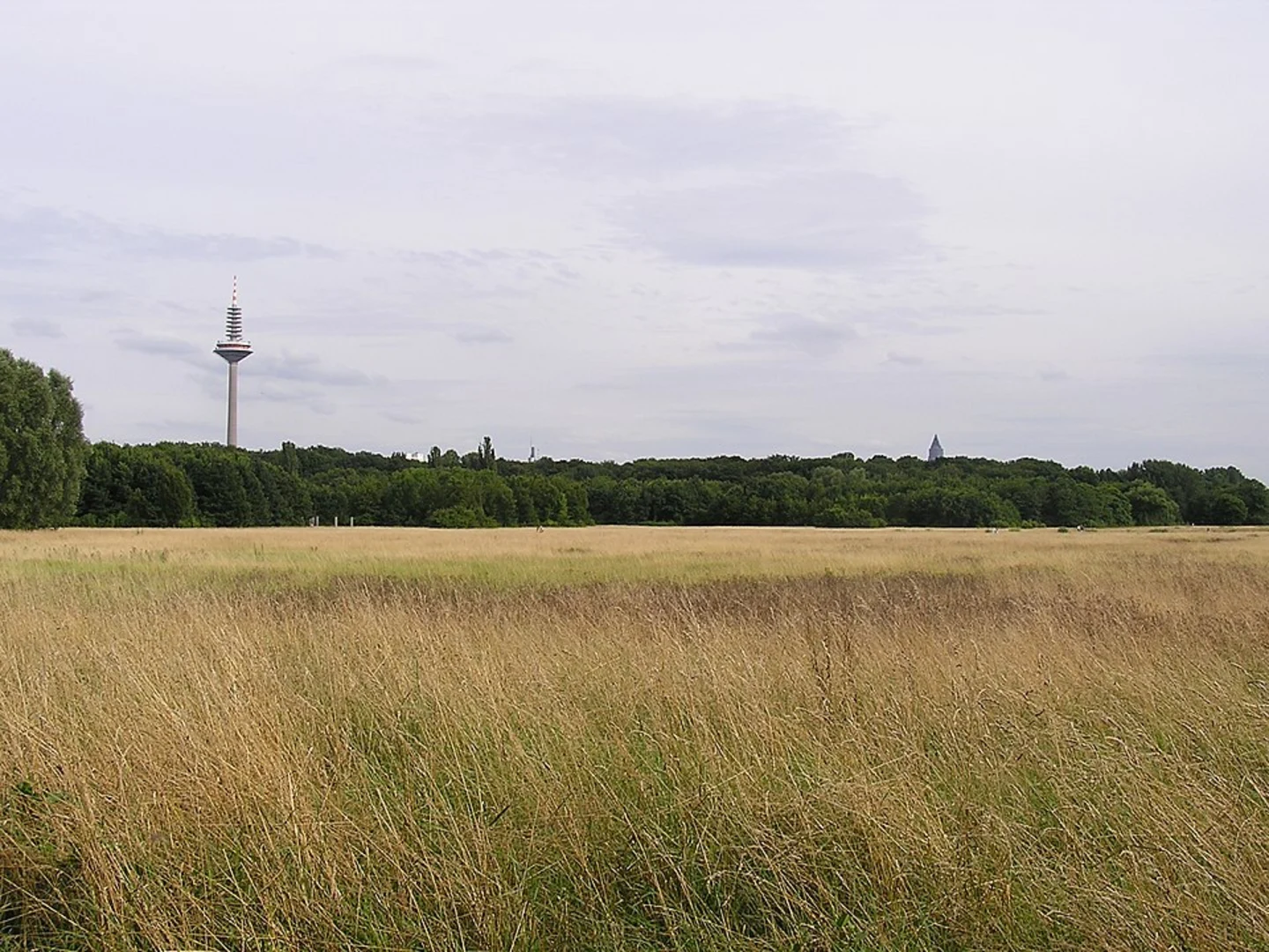 An image depicting the trail Rebstockweiher and Nidda Loop via Lauftreff Ginnheim and Gruenguetel Wanderweg and its surrounding area.