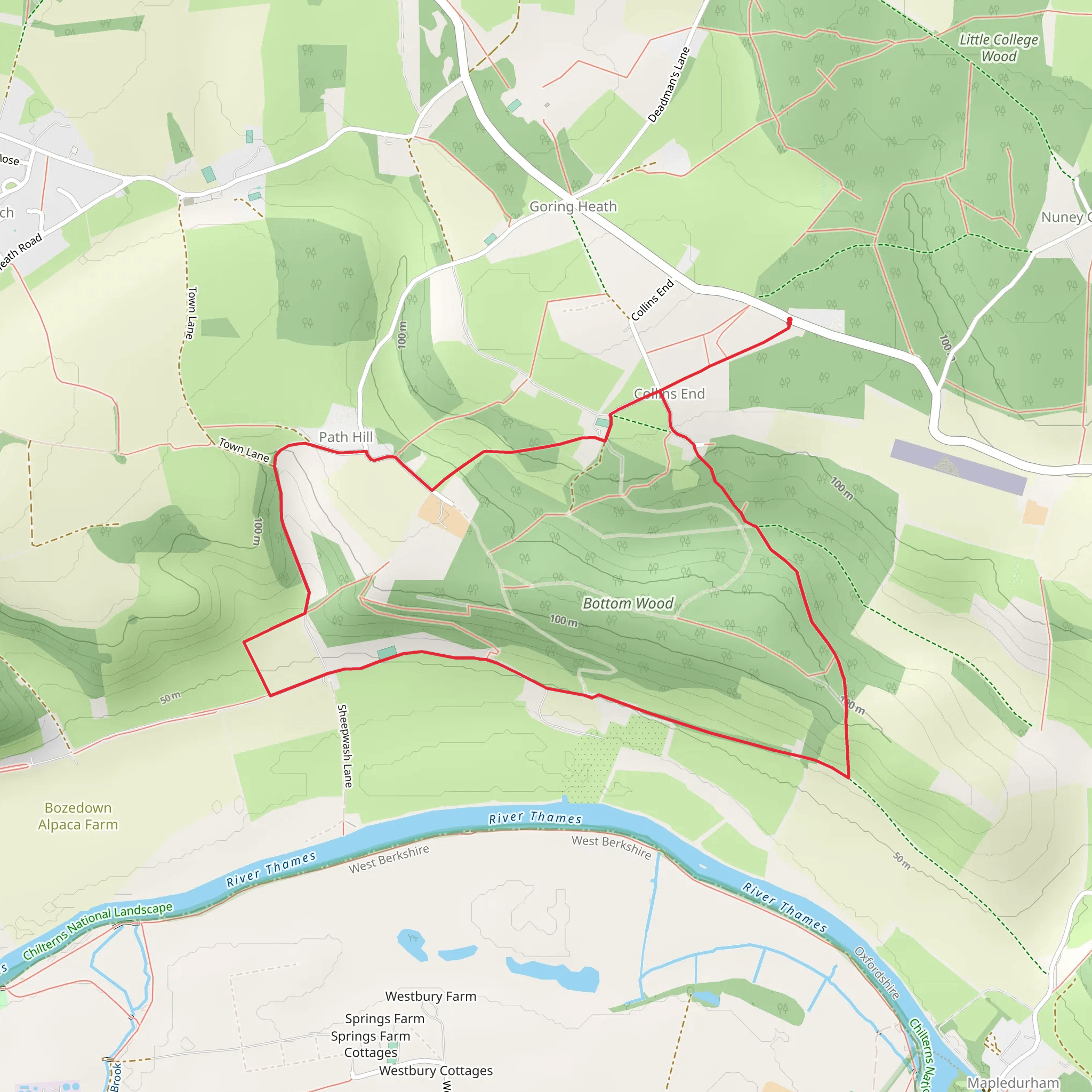 Collins End Loop | Oxfordshire | England