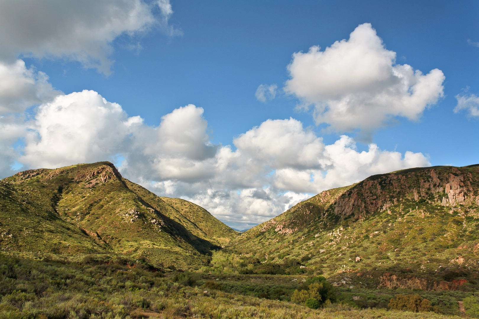 An image depicting the trail Spring Canyon Trail, Oak Canyon Trail and Grasslands Canyon Trail Loop and its surrounding area.