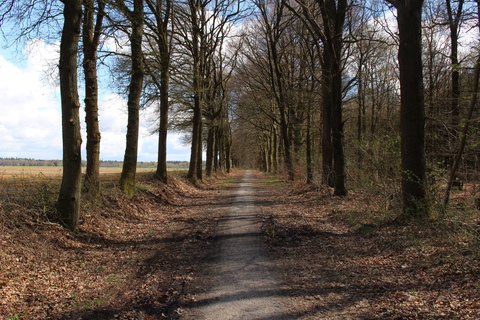 Poolshoogte Loop