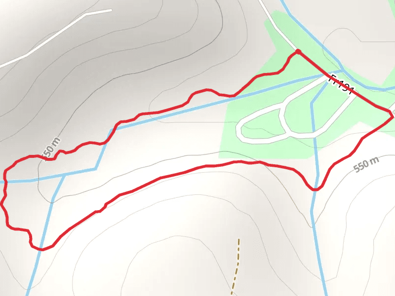 Black Cherry Lower Loop Trail