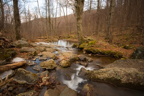 Dark Hollow Falls Trail