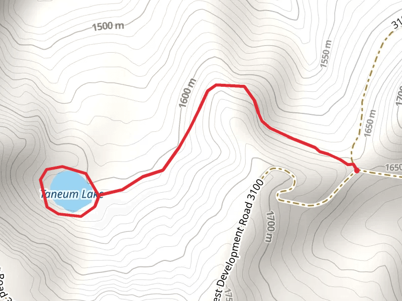 Taneum Lake Trail