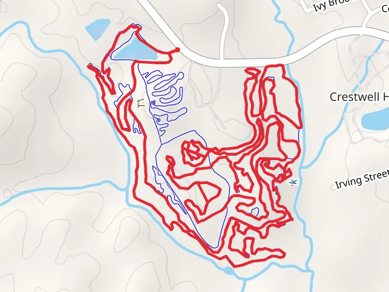 Pig Loop Trail