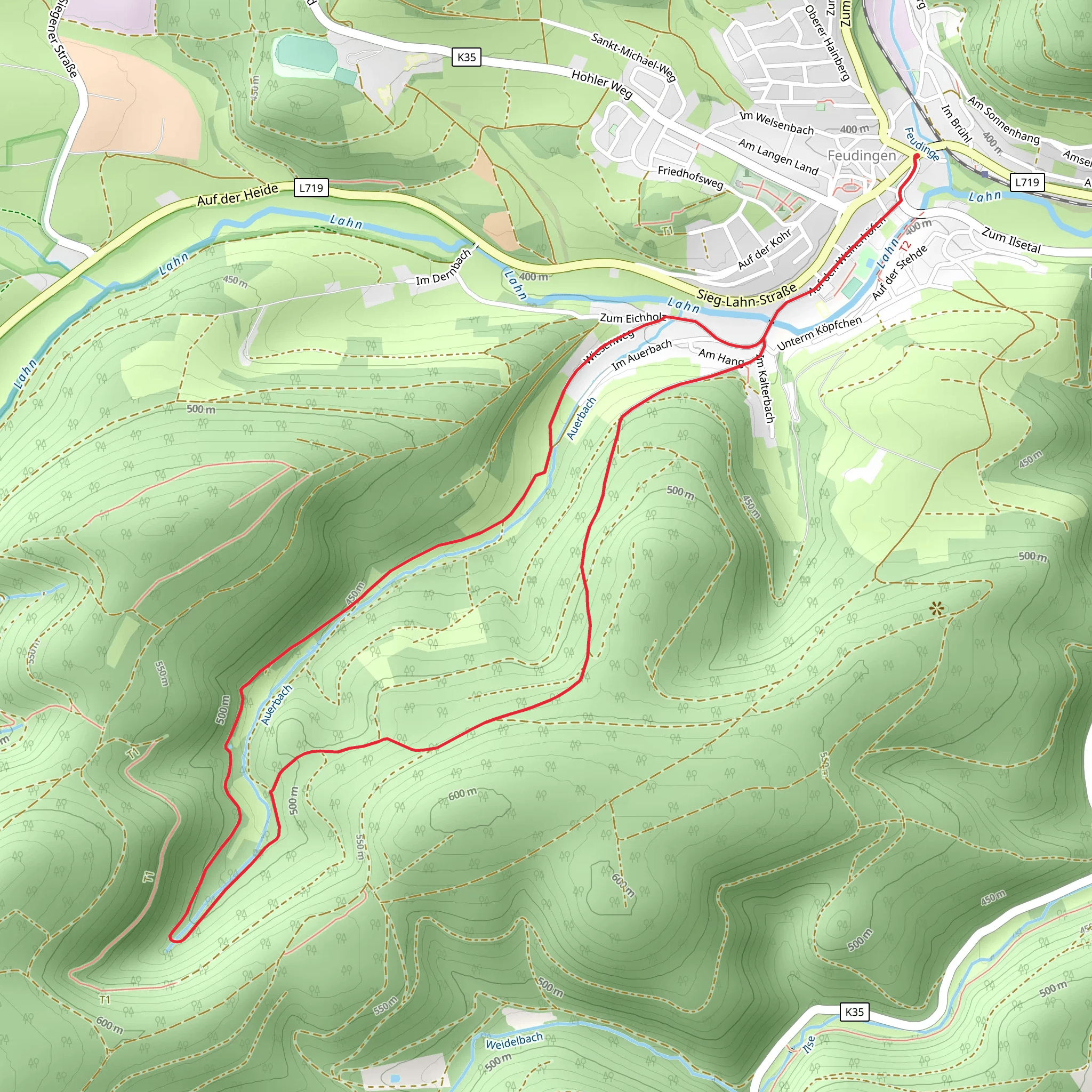Auerbach Loop mobile static map