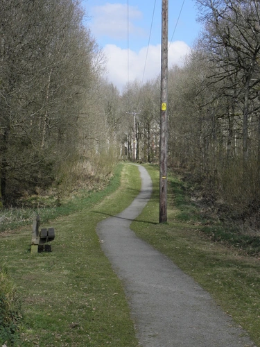 Gosford Forest Park - Deer Park Trail