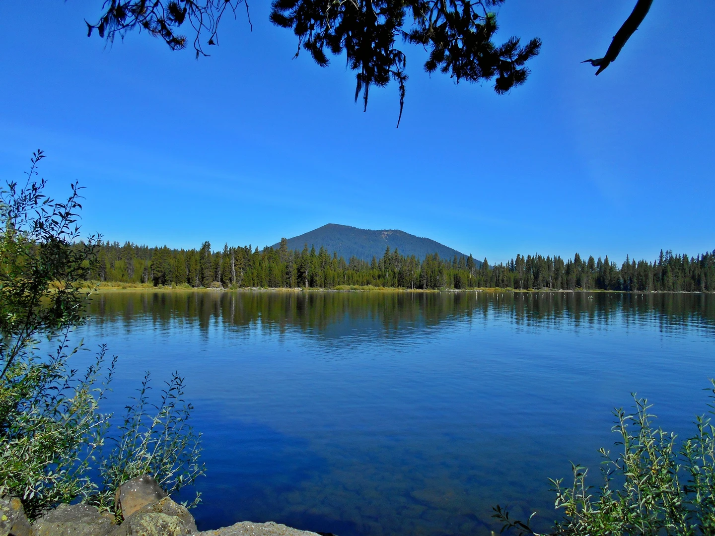 An image depicting the trail Mini Lake Area and its surrounding area.