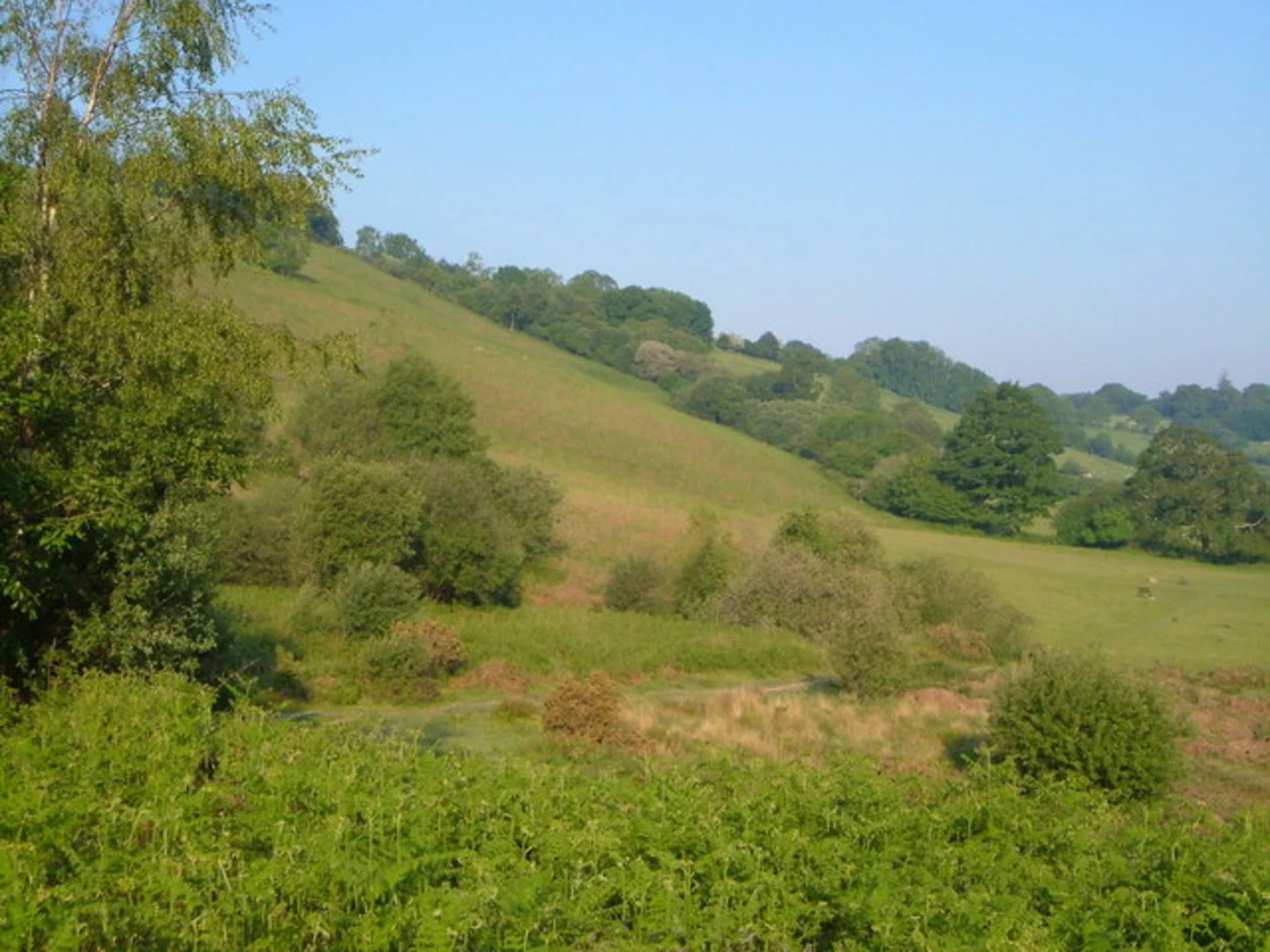 An image depicting the trail Meldon Hill Walk and its surrounding area.
