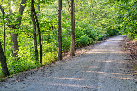 Steamboat Trace Trail