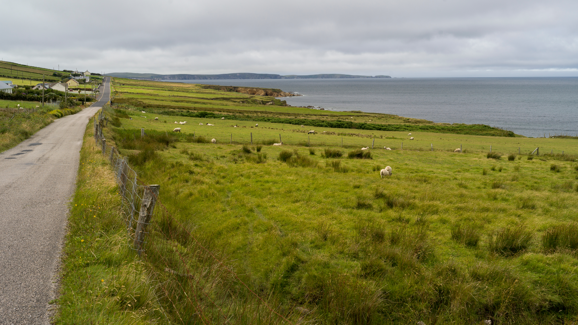 An image depicting the trail Erris Head Loop and its surrounding area.