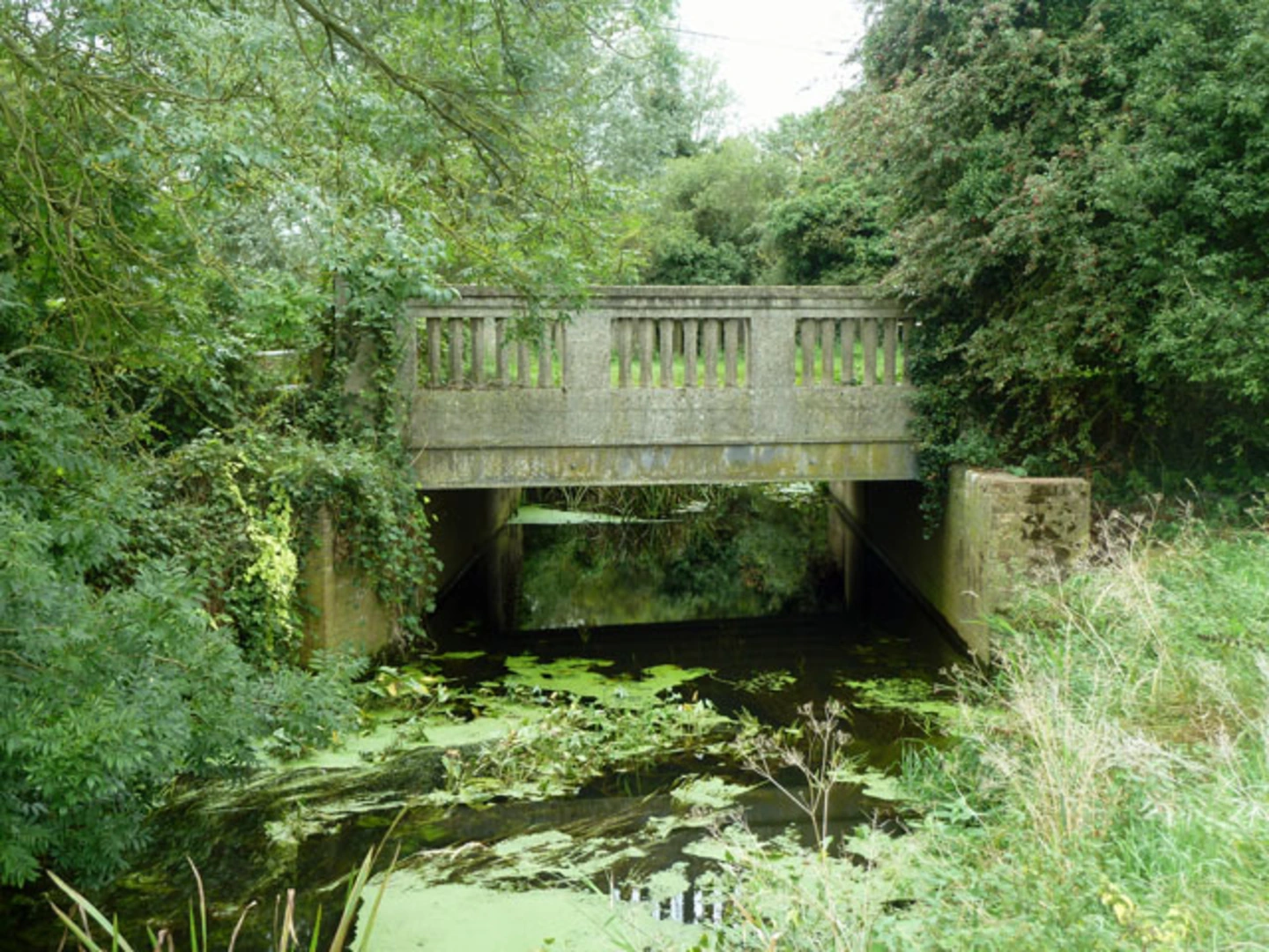 An image depicting the trail Chathamhall Spring and Lodge Lake Loop and its surrounding area.