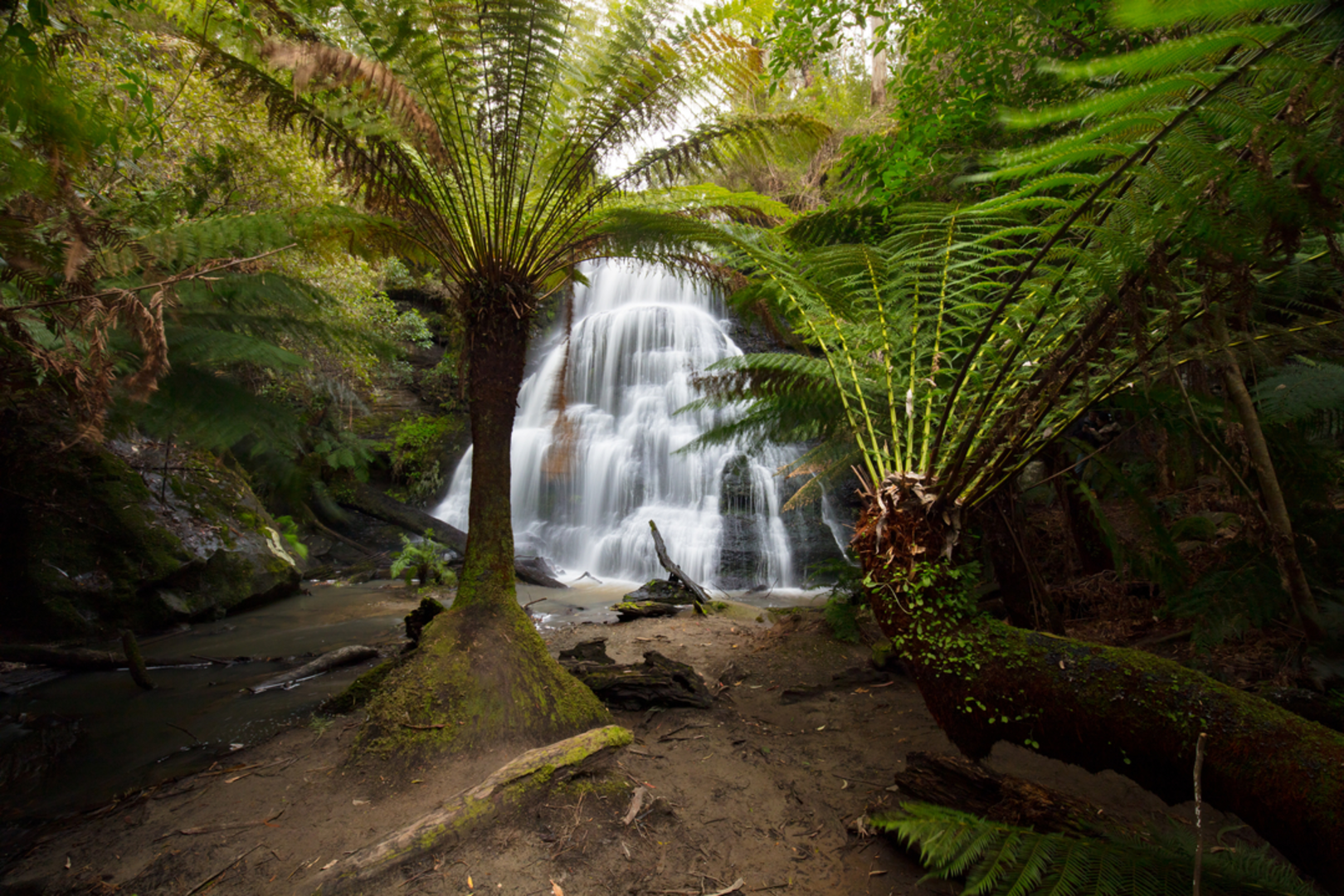 An image depicting the trail Lorne Waterfalls - Canyon and Castle Rock Trail and its surrounding area.
