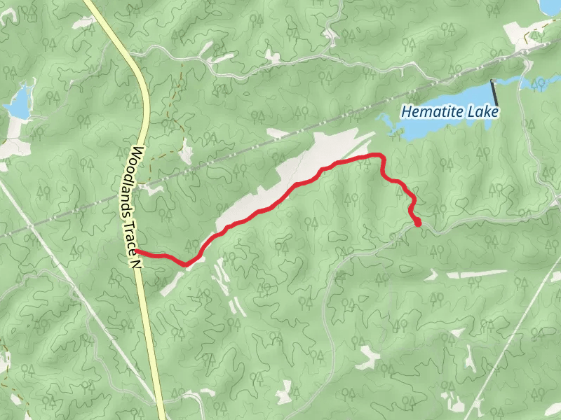 Long Creek Walk