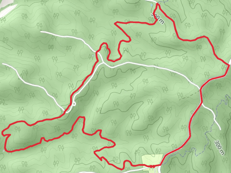 Berryman and Ozark Trail - Courtois Section Loop
