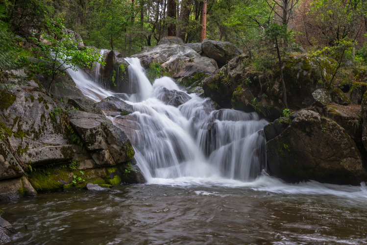 Lewis Creek Trail