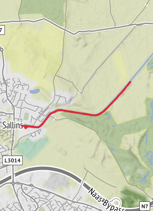 Hike from Sallins mobile static map