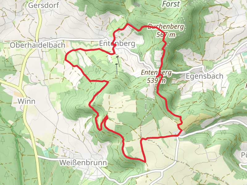 Im Buchenwald