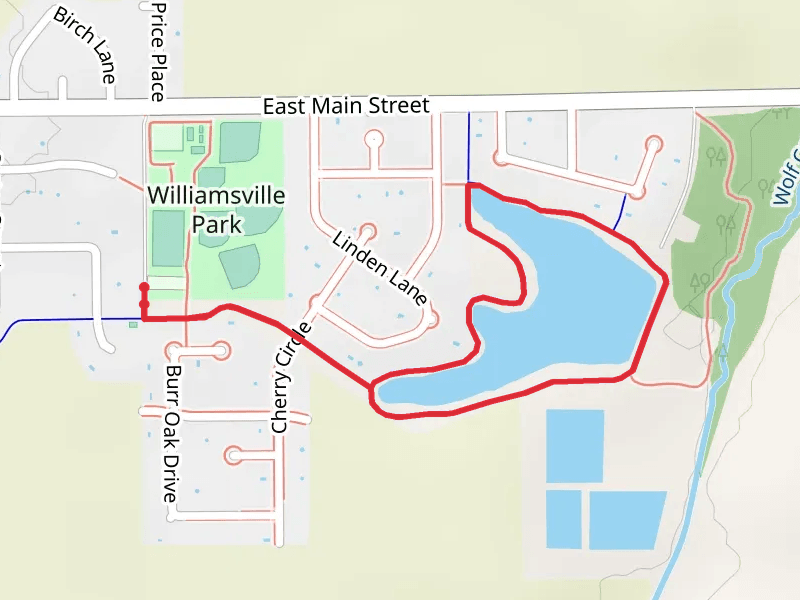 Williamsville Park Pond Loop