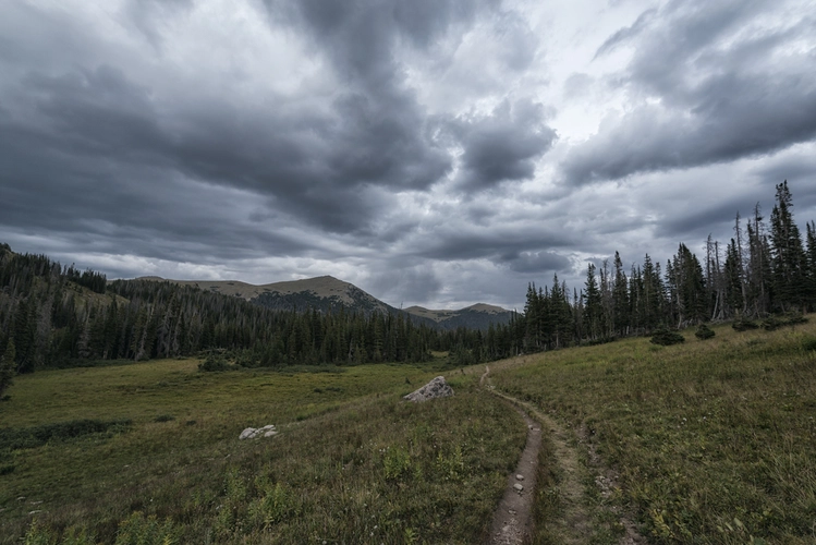 Medicine Bow Trail