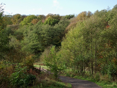 Baggeridge Country Park Loop