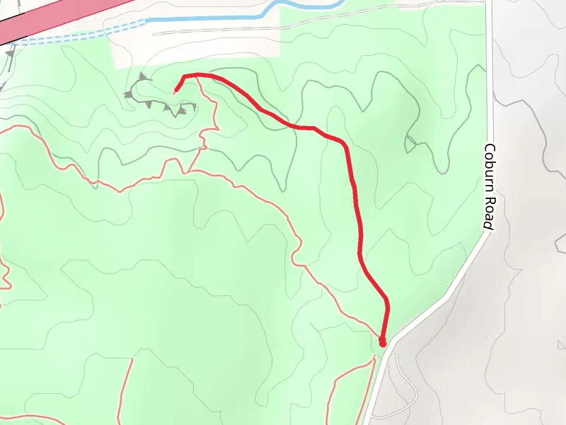 Coburn Road Out and Back